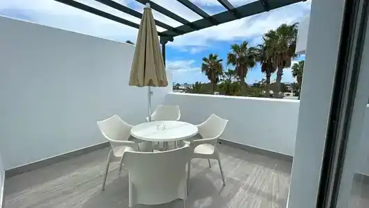 Palmeras Garden - 162