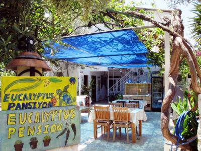 Eucalyptus Pension - 2