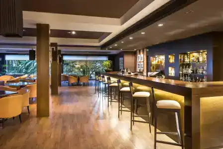Gran Monterrey & Spa - 14
