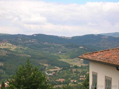 Bonelli - 10