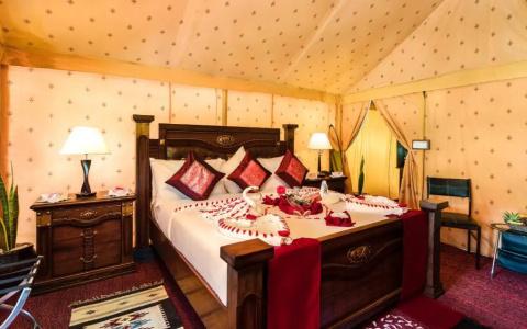 Fun Retreat Resort, and Ayurveda Spa - 30