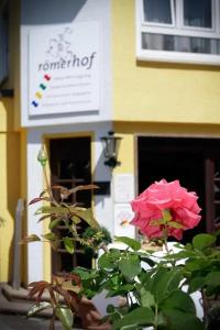 Römerhof - 0
