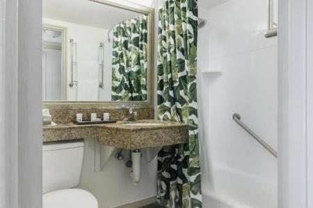 Holiday Inn Port Of Miami-Downtown, An Ihg - 46