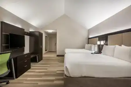 Holiday Inn Express & Suites i-95 & i-20 Civic Ctr, An Ihg - 2