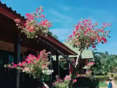 Lanta Queen Resort - 12