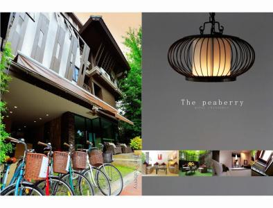 The Peaberry Explorer - 15