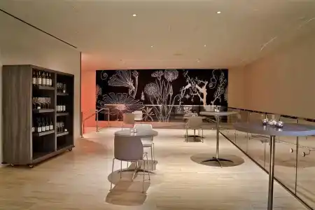 Hall Arts, Dallas, Curio Collection By Hilton - 16