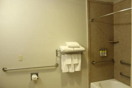Holiday Inn Express & Suites Tucson Mall, An Ihg - 77