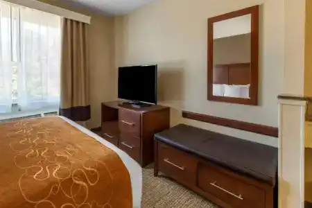 Comfort Suites Walnut Creek - 61