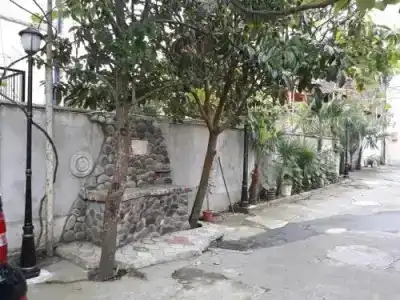 Magnolia Agmashenebeli - 11