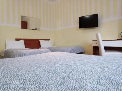 Rome's Best Holidays - 43