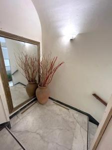 Allegra Toscana - Affittacamere Guest house - 219