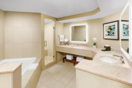 Hilton Phoenix Airport - 70