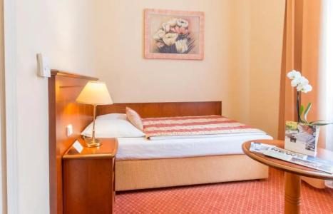 Ensana Centrální Lázně - Maria Spa - 32