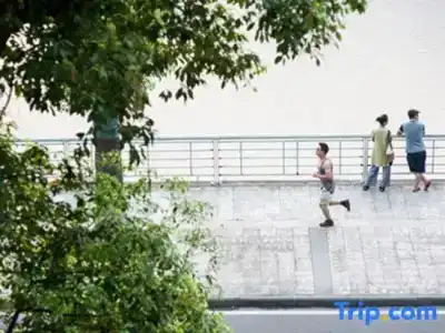 Wuyu (Chongqing Jinyun Mountain, Southwest University) - 32