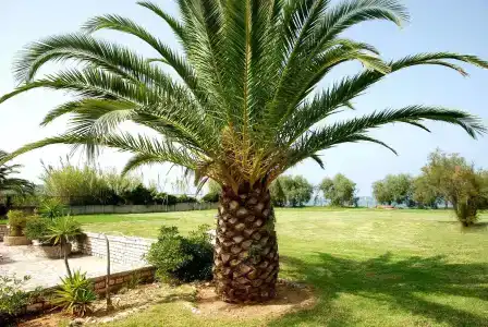 s&c Kosmos Beach Resort - 9