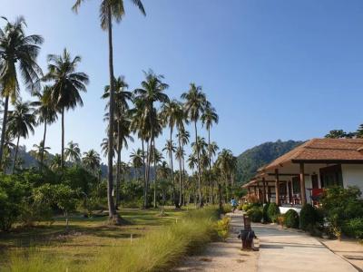 Koh Paradise Beach - 67