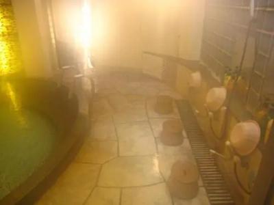 Ryokan Meiji - 15
