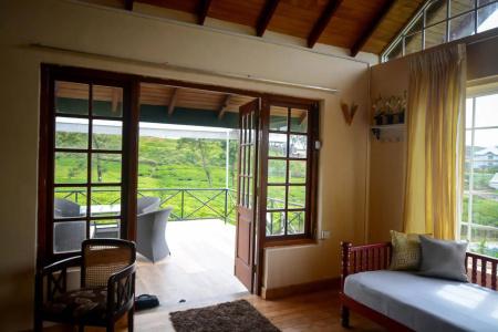 The Tea Garden - 16