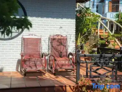 Betel Garden - 75