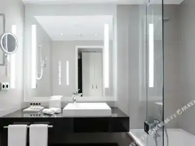 Pullman Berlin Schweizerhof - 54