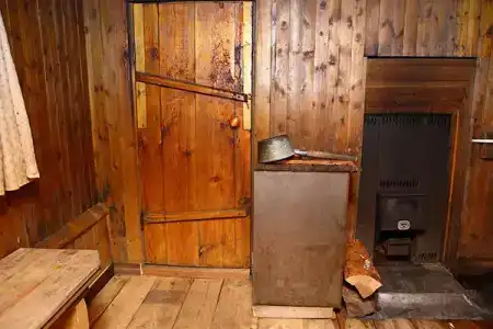 Лесная сказка Сибири - 0