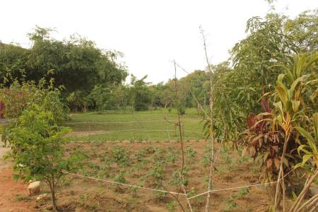 Sinhagiri - 33