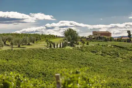 Pecora Vecchia - ColleMassari Hospitality - 23