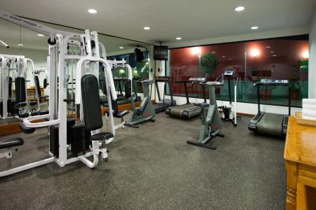 Holiday Inn Puebla La Noria, An Ihg - 10