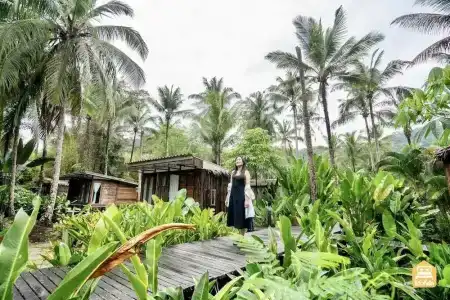Jungle Koh - 53