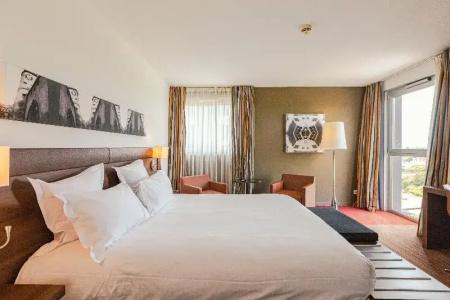 Holiday Inn Mulhouse, An Ihg - 88