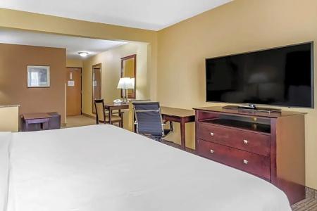 Comfort Inn & Suites - 59