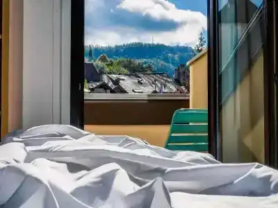 ibis Annecy Centre Vieille Ville - 64