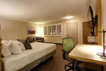 GreenTree - 30