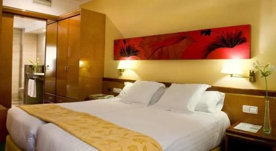 Acacia Suite - 22