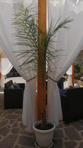 b&b Mario Relais - 9