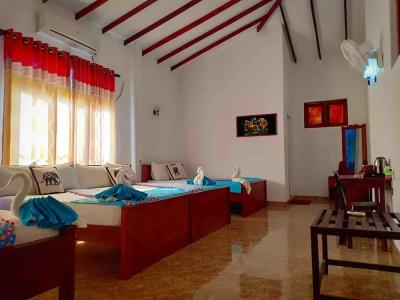 Hungry Lion Resort - 2