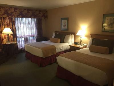 Stoweflake Mountain & Spa - 14