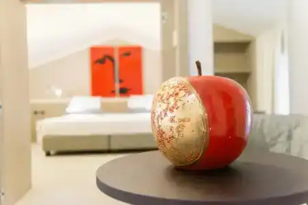Le Funi - 206