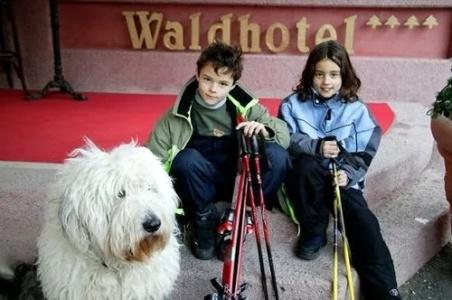 Das Waldhotel - 25