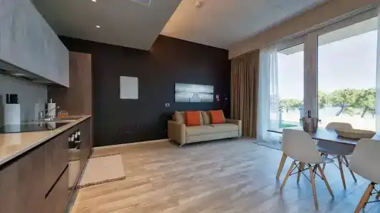 Vision - 100