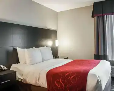 Comfort Suites Airport Nashville - 5