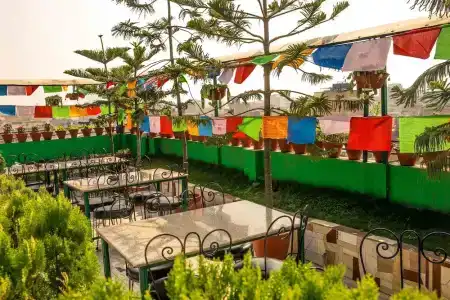 Nepalaya - 85
