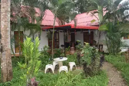 Manora Garden - 54
