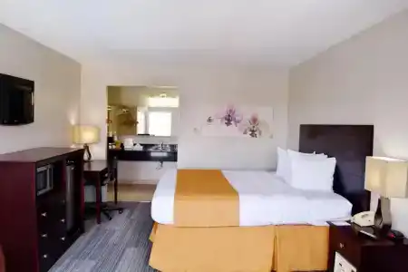 Quality Inn & Suites By the Parks - 43