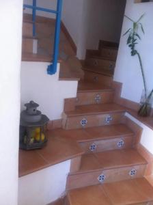 b&b Celestina Ischia - 16