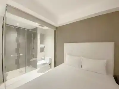 The Luxe - 15