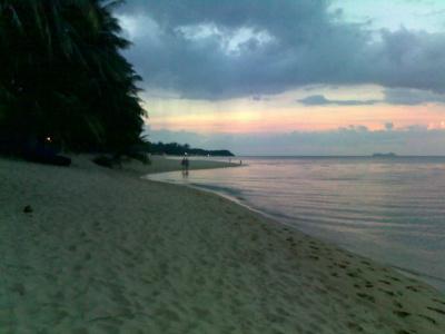 Palm Point Village - 9
