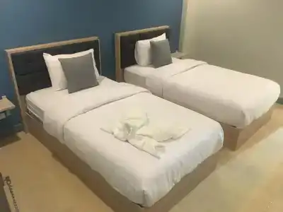 Zleep d - 6