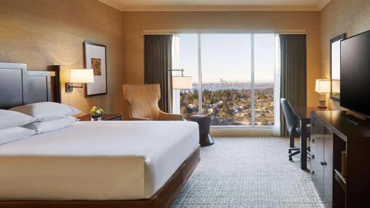 Hyatt Regency - 3